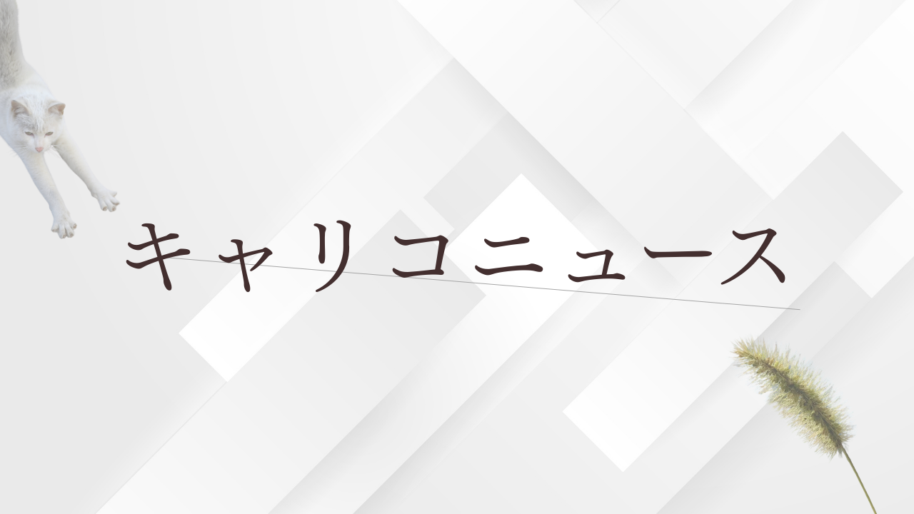 キャリコニュース